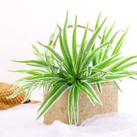 uploads/erp/collection/images/Home Garden/CongDing/XU0610415/img_b/XU0610415_img_b_2